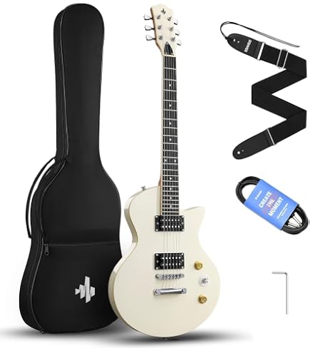 Amazon | Maison メイソン エレキギター レスポールタイプ LP-20F/BK